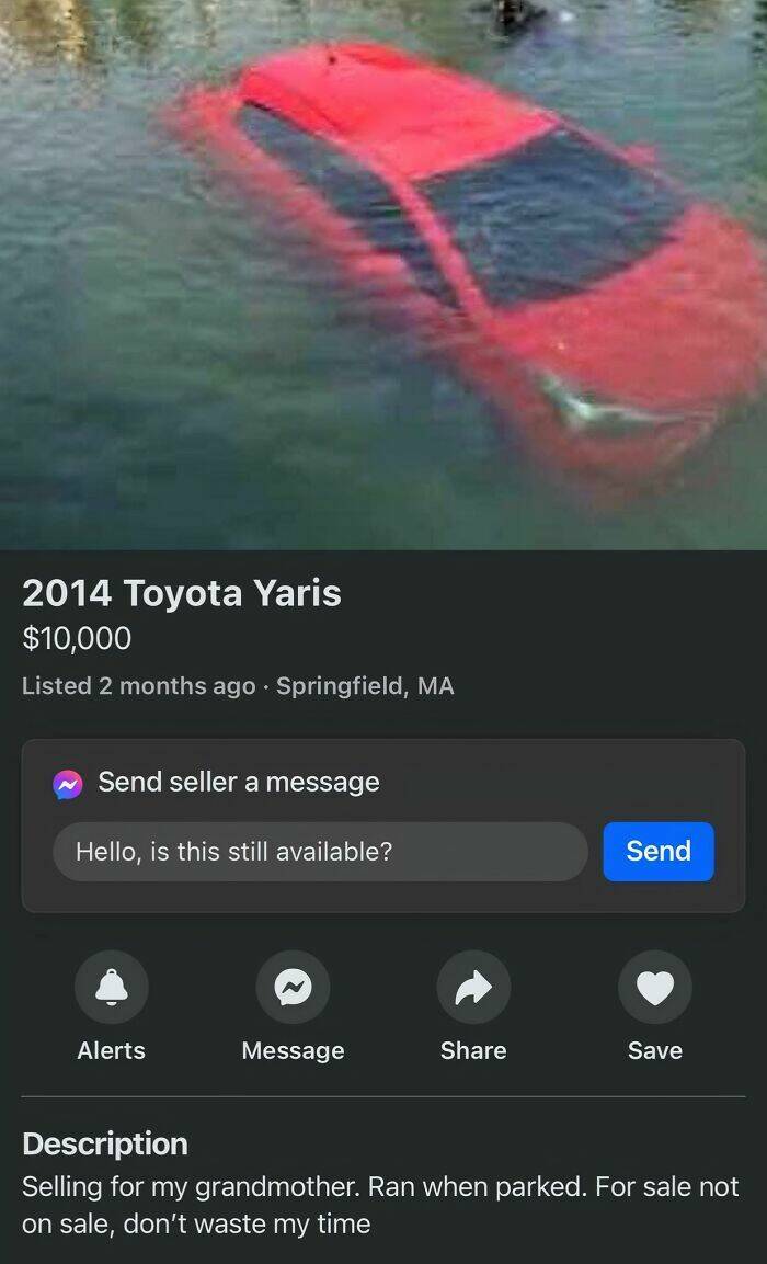 Wildest Items Ever Listed for Sale Online