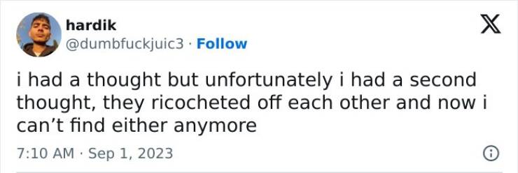 Feel-Good Pics for an Instant Mood Lift