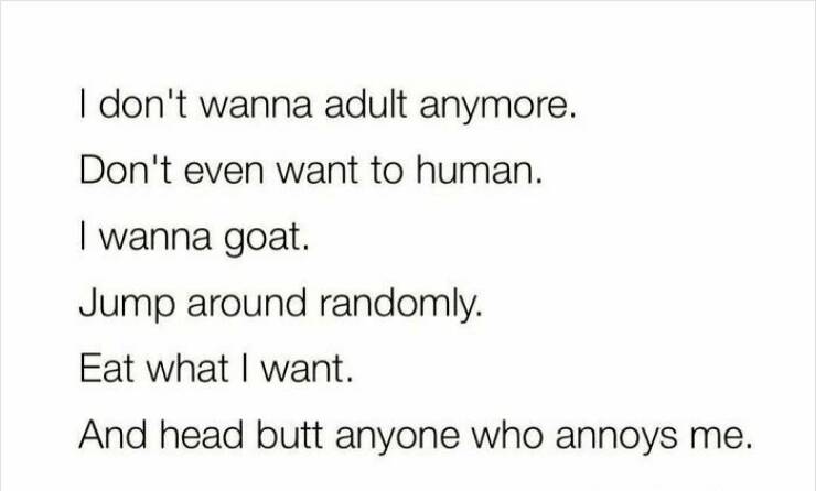 Feel-Good Pics for an Instant Mood Lift