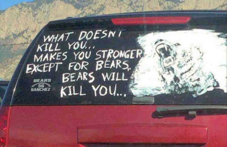 Memes So Grumpy, Your Dad Will Approve Memes So Grumpy, Your Dad Will Approve