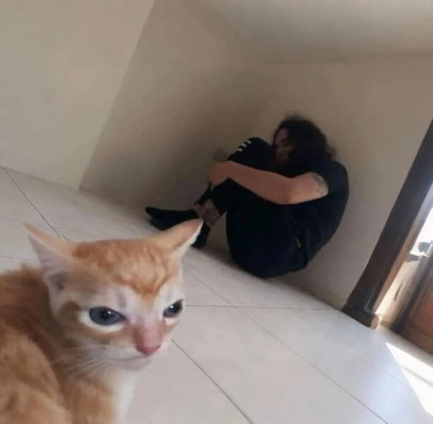 Utterly Bizarre Pictures With Zero Context