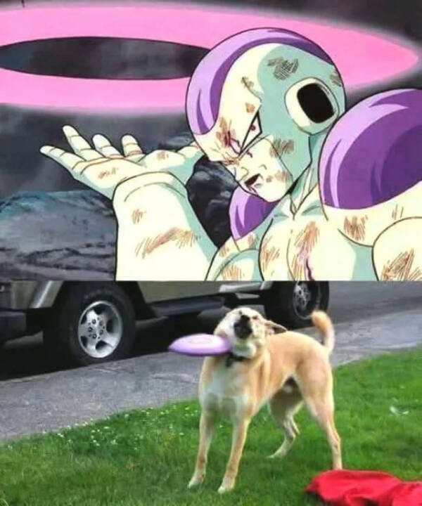 Utterly Bizarre Pictures With Zero Context