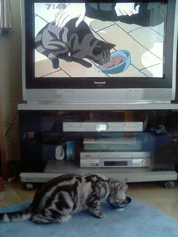 Utterly Bizarre Pictures With Zero Context