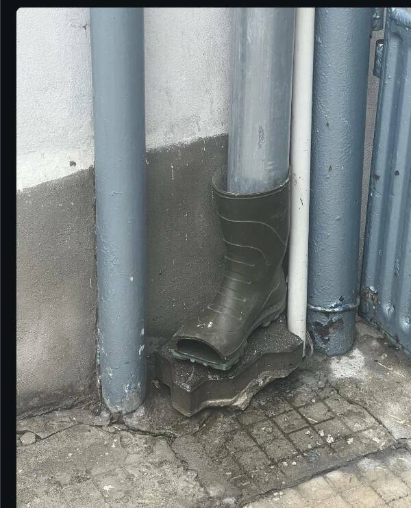 Utterly Bizarre Pictures With Zero Context