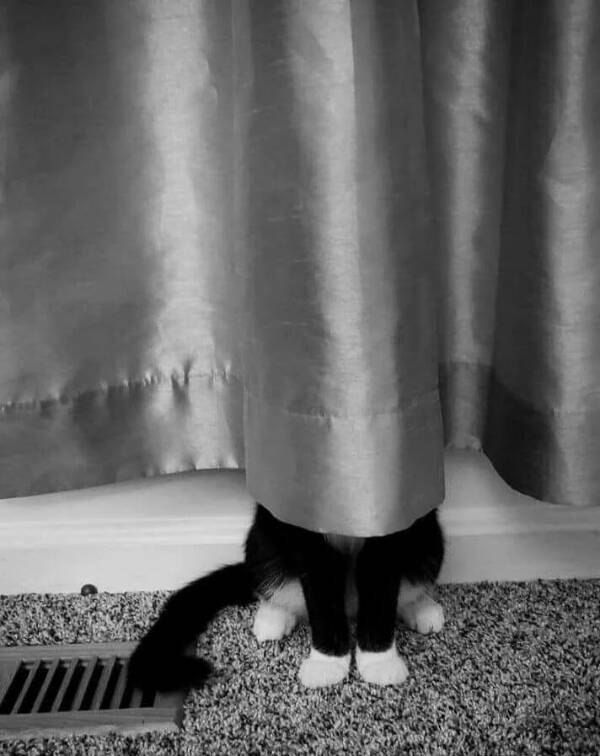 Utterly Bizarre Pictures With Zero Context