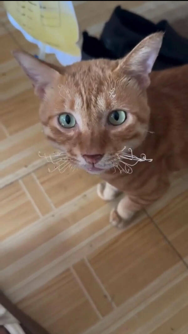 Utterly Bizarre Pictures With Zero Context