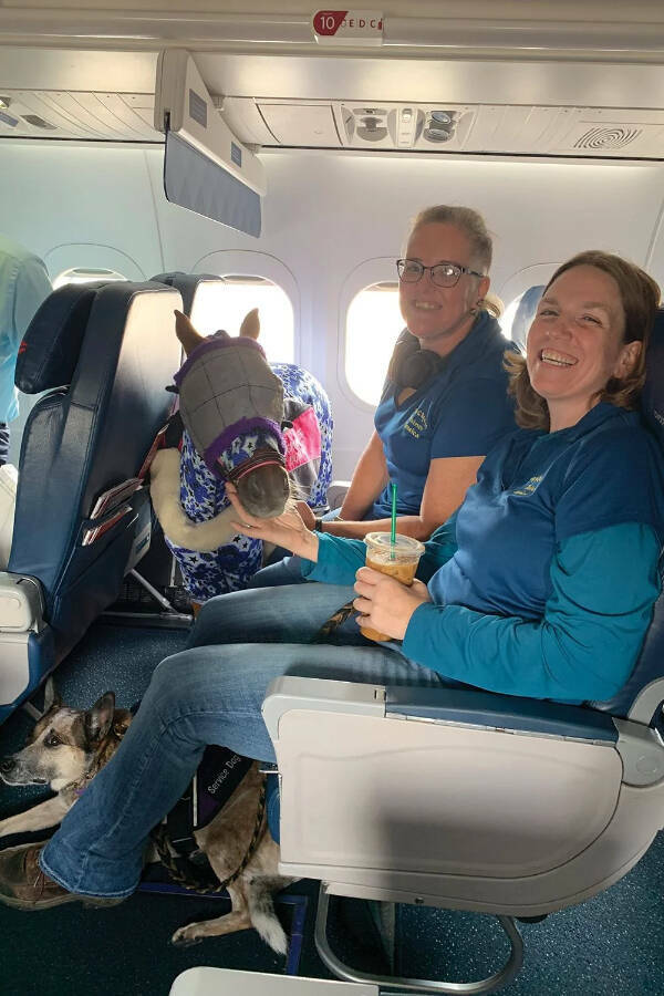 Utterly Bizarre Pictures With Zero Context