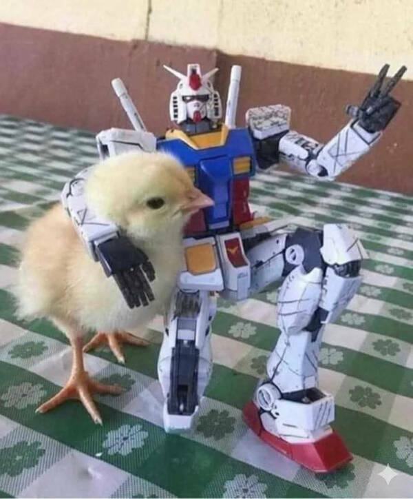 Utterly Bizarre Pictures With Zero Context