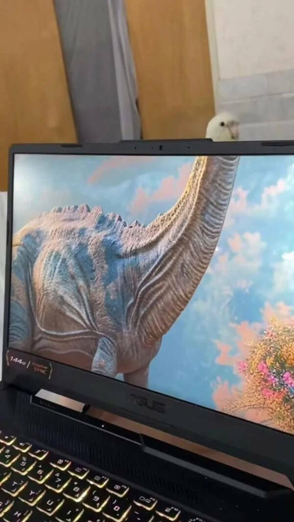 Utterly Bizarre Pictures With Zero Context