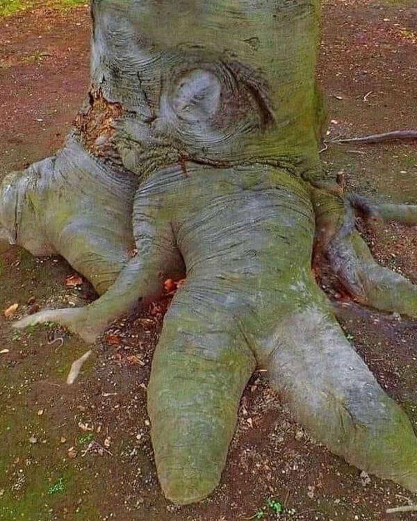 Utterly Bizarre Pictures With Zero Context