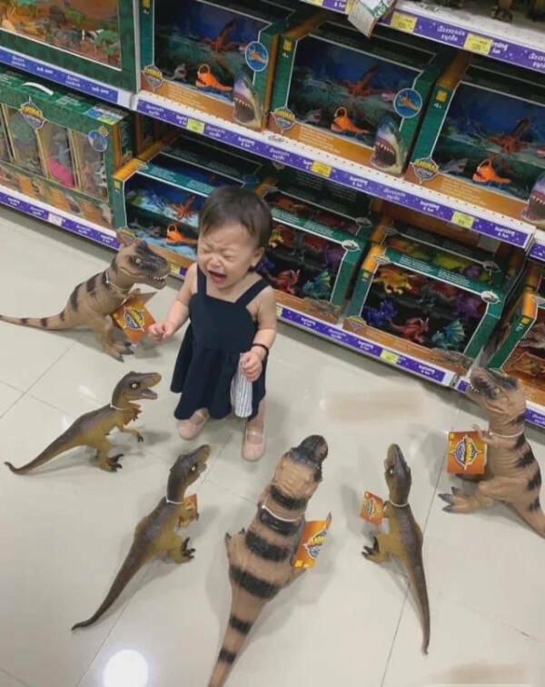 Utterly Bizarre Pictures With Zero Context