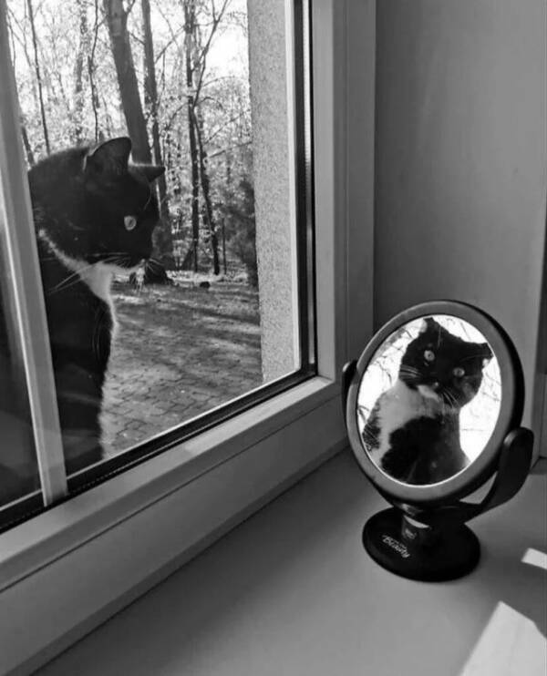 Utterly Bizarre Pictures With Zero Context