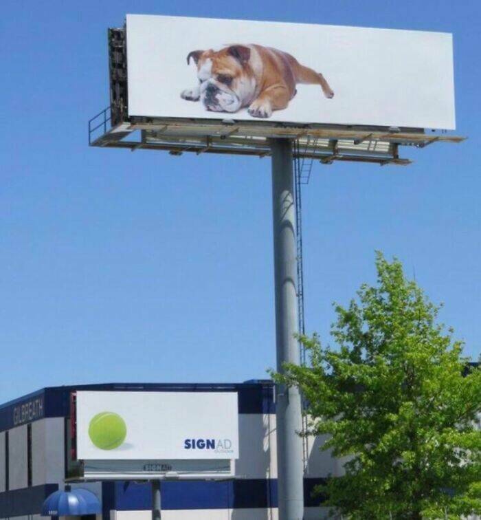 Hilarious Billboards That Shouldn’t Exist (But Do) Hilarious Billboards That Shouldn’t Exist (But Do)