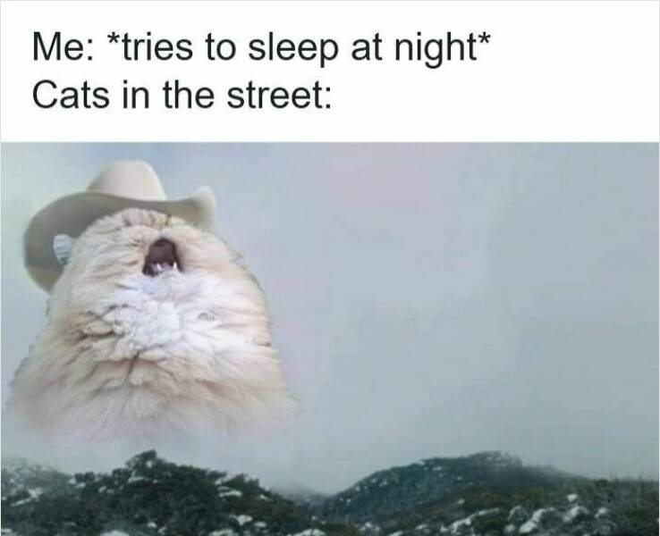 Sleep-Deprived Humor for the Chronically Exhausted