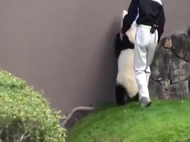Pandas Are Unique