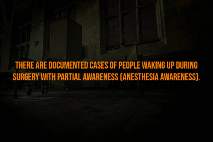 Creepy Bits of Knowledge You Can’t Unlearn