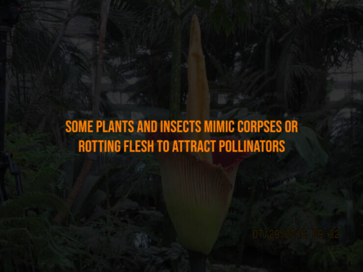 Creepy Bits of Knowledge You Can’t Unlearn