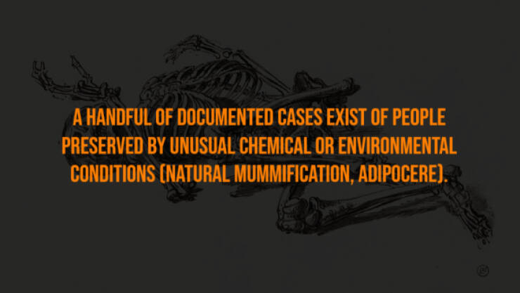 Creepy Bits of Knowledge You Can’t Unlearn