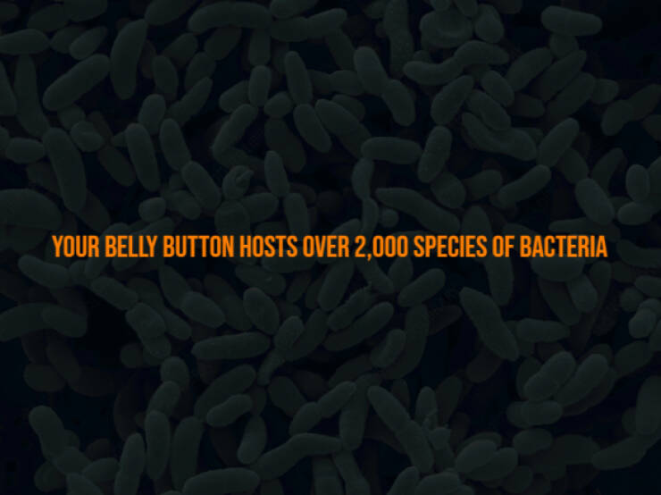 Creepy Bits of Knowledge You Can’t Unlearn