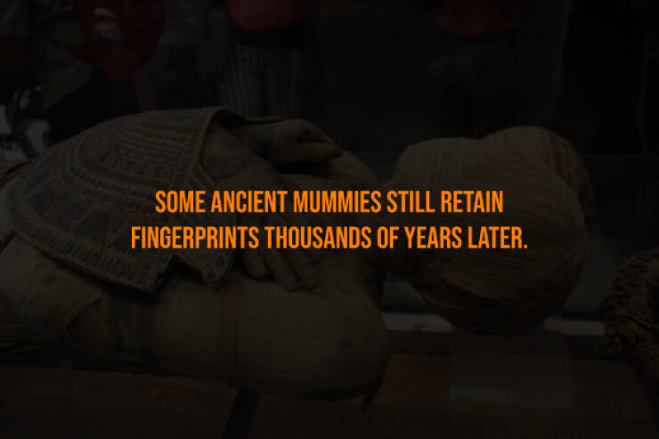 Creepy Bits of Knowledge You Can’t Unlearn