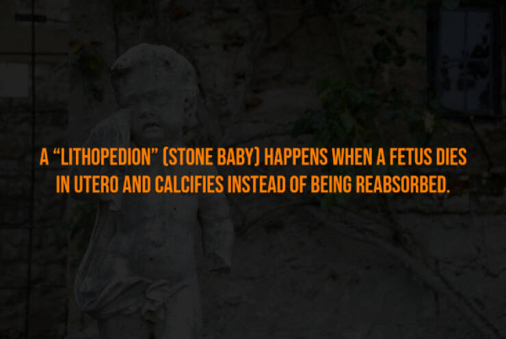 Creepy Bits of Knowledge You Can’t Unlearn