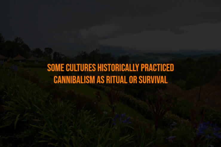 Creepy Bits of Knowledge You Can’t Unlearn