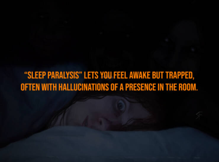 Creepy Bits of Knowledge You Can’t Unlearn