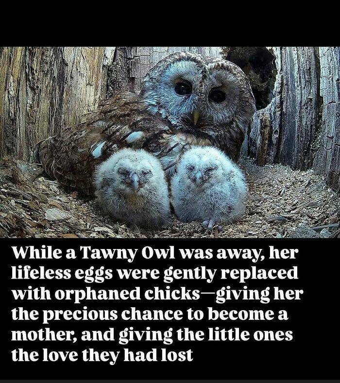 Cute and Heartwarming Posts for a Better Day Cute and Heartwarming Posts for a Better Day