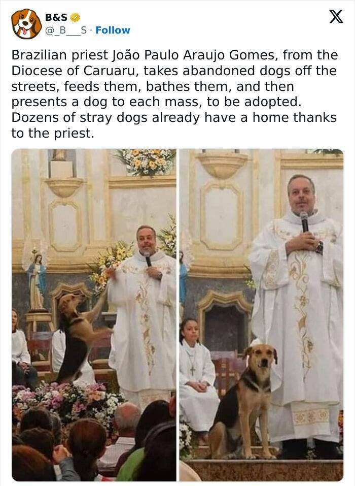 Cute and Heartwarming Posts for a Better Day Cute and Heartwarming Posts for a Better Day