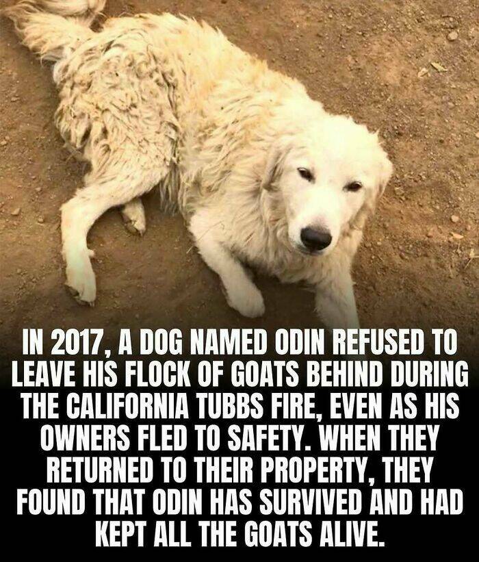 Cute and Heartwarming Posts for a Better Day Cute and Heartwarming Posts for a Better Day