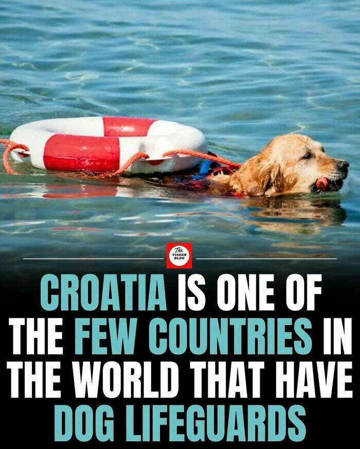 Cute and Heartwarming Posts for a Better Day Cute and Heartwarming Posts for a Better Day