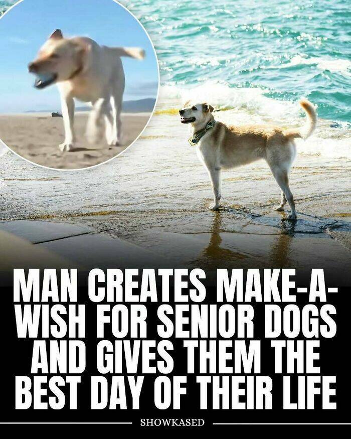 Cute and Heartwarming Posts for a Better Day Cute and Heartwarming Posts for a Better Day