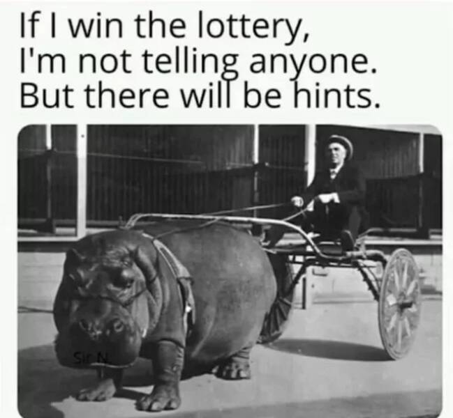 Lottery Winner Energy in Meme Form