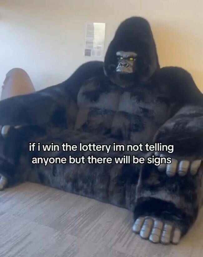 Lottery Winner Energy in Meme Form