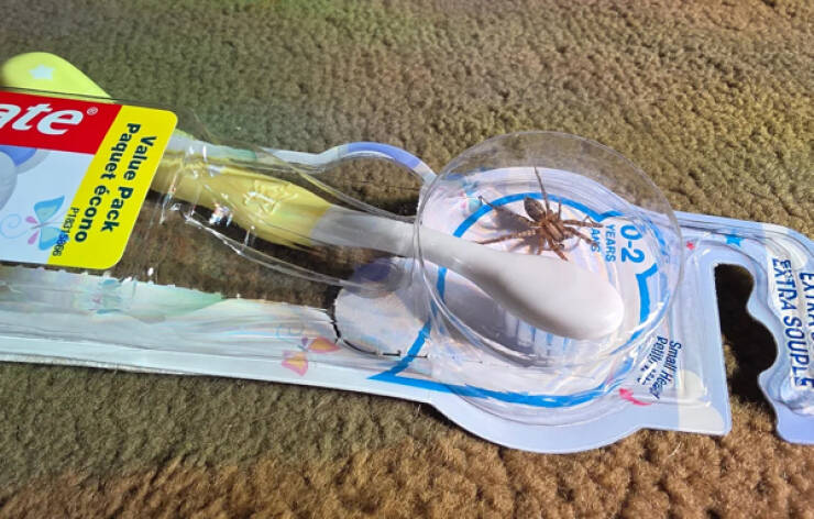 Well, That’s One Big NOPE!