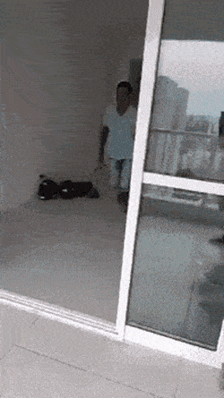 Daily Gifdump Daily Gifdump