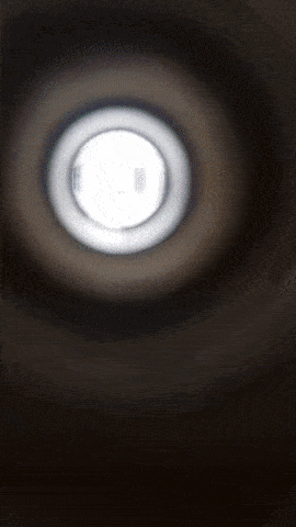 Daily Gifdump Daily Gifdump