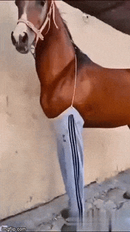 Daily Gifdump Daily Gifdump