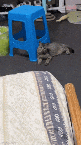 Daily Gifdump Daily Gifdump