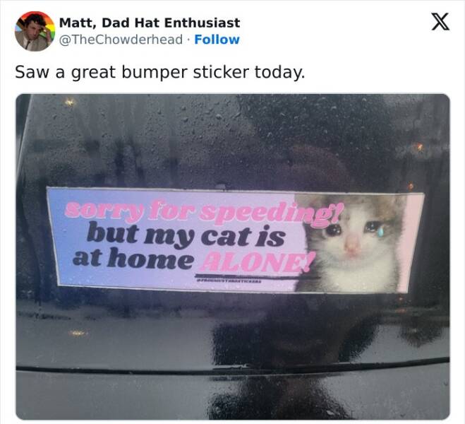 Funny Bumper Stickers That Totally Stole the Show