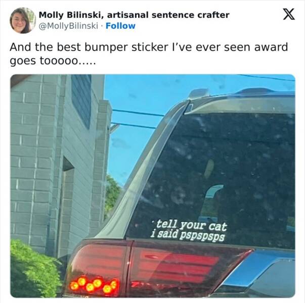 Funny Bumper Stickers That Totally Stole the Show