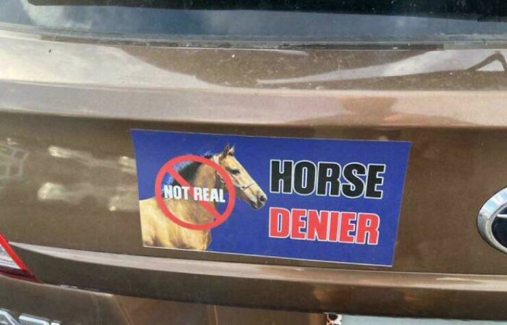 Funny Bumper Stickers That Totally Stole the Show