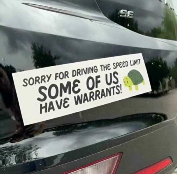 Funny Bumper Stickers That Totally Stole the Show