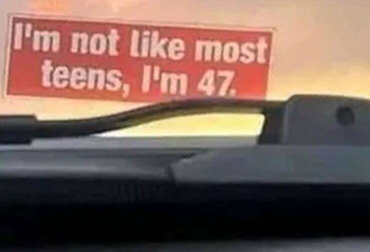 Funny Bumper Stickers That Totally Stole the Show