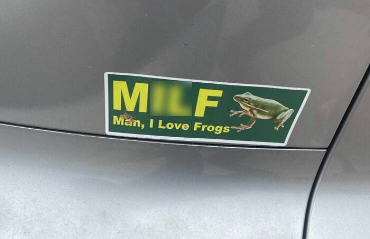 Funny Bumper Stickers That Totally Stole the Show