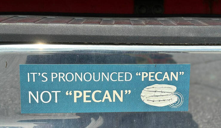 Funny Bumper Stickers That Totally Stole the Show
