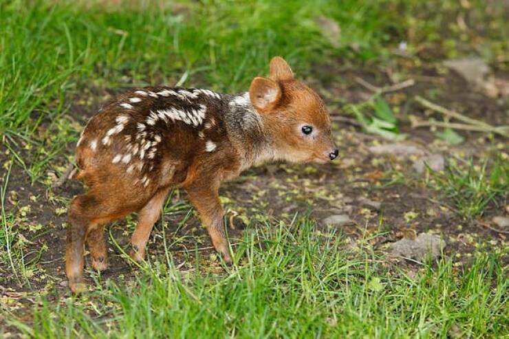 Incredible Shots That Bend Your Brain a Little