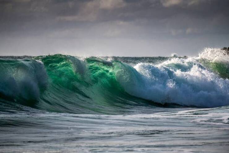 Life-Saving Tips Everyone Should Know