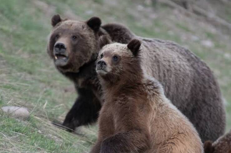 Life-Saving Tips Everyone Should Know