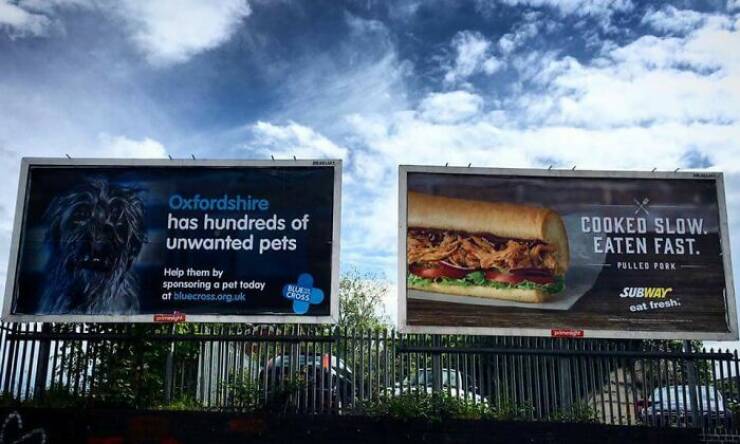 Unintentionally Hilarious Photos That Made Us Lose It